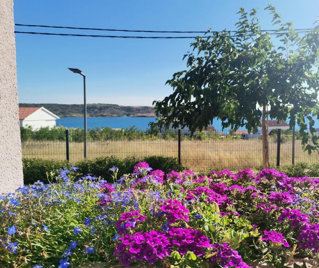 Apartmani Darko Rtina Exterior foto